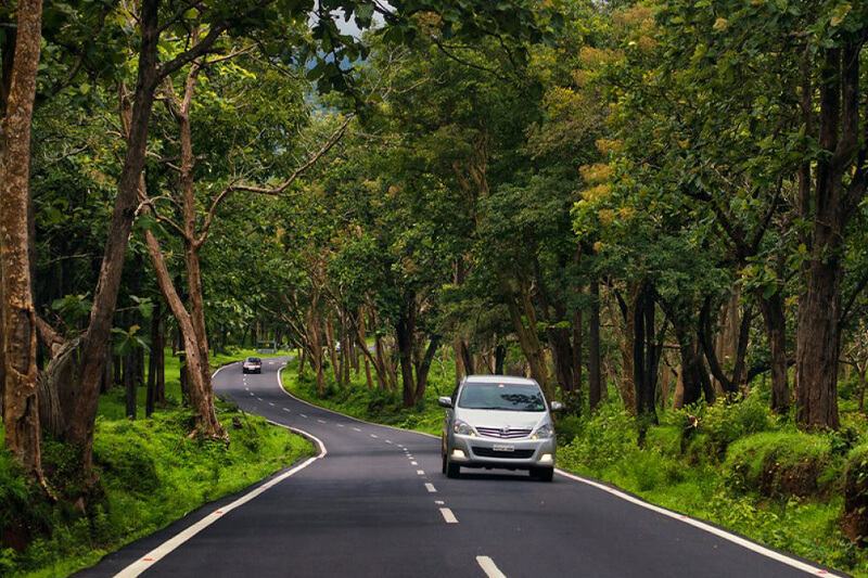 Bangalore - Mysore - Ooty (05 Nights / 06 Days)