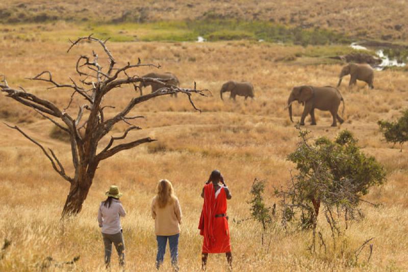 Kenya Package (04 Nights / 05 Days)