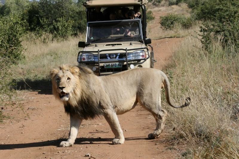 South Africa Tour with Pilanesberg National Park (11 Nights / 12 Days)